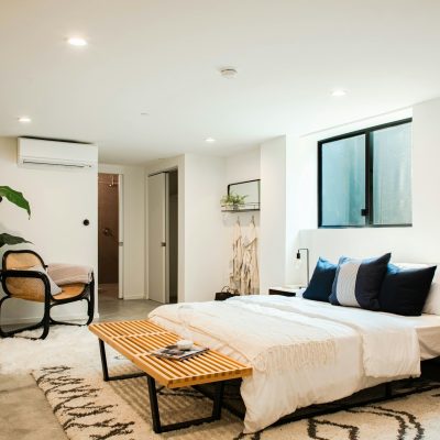 cat-han-AnS1up6aLWA-unsplash