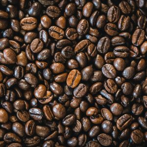 rohan-gupta-y_Z9YSilliU-unsplash